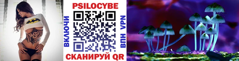 где продают   Шацк  Галлюциногенные грибы Magic Shrooms 